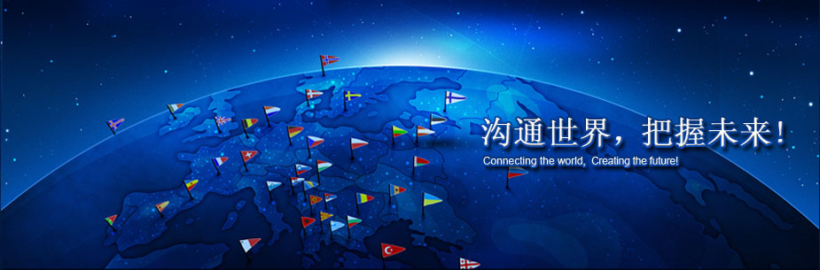 软件开发,网站建设,seo服务